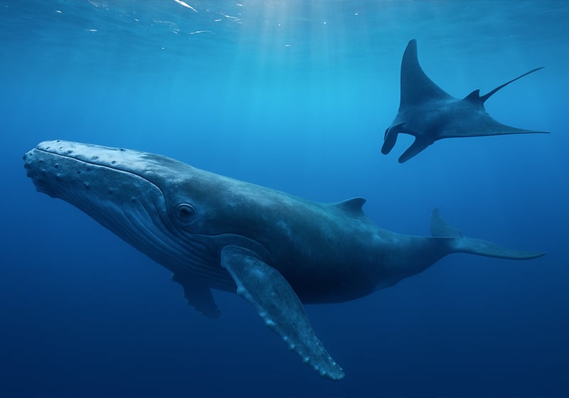 #Powercolours: el color azul