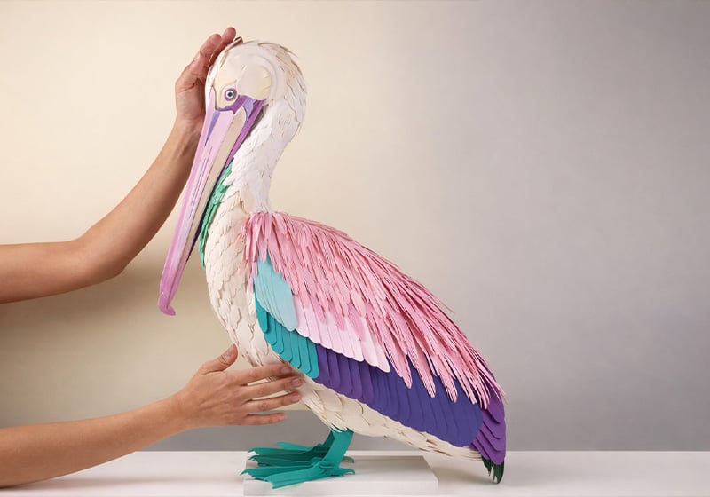 La fauna y la flora de Diana Beltrán Herrera